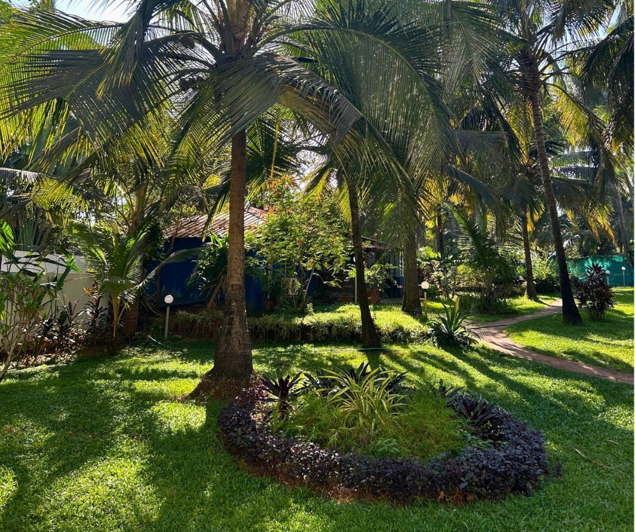 Jungle Hut-Annabelle'S Beach Apartments At Bernard Simao,Calangute,Goa Candolim Luaran gambar