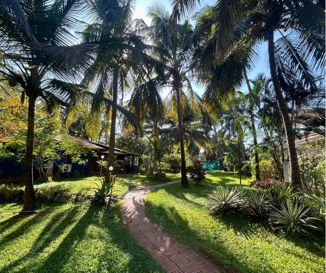 Jungle Hut-Annabelle'S Beach Apartments At Bernard Simao,Calangute,Goa Candolim Luaran gambar